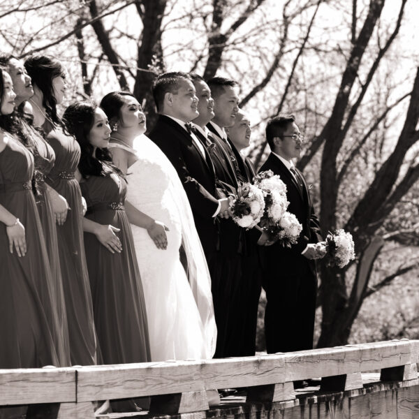 entire wedding party on bridge